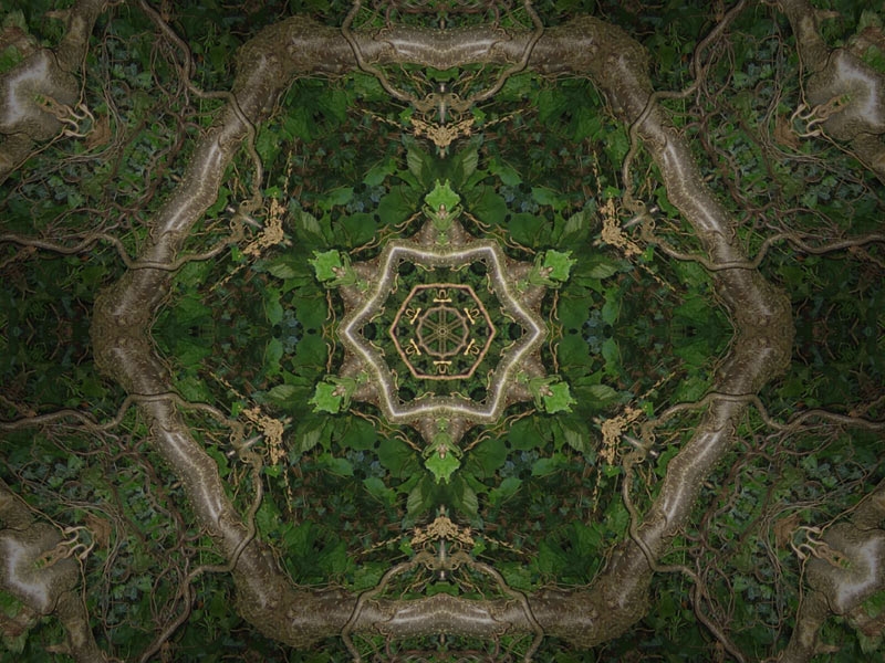 Natur Kaleidoskop