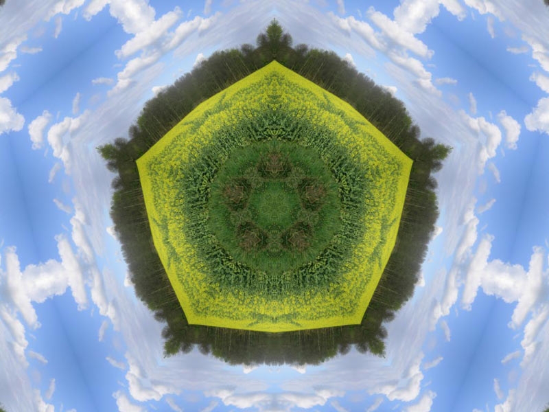 Natur Kaleidoskop