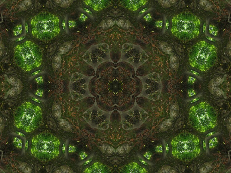 Natur Kaleidoskop