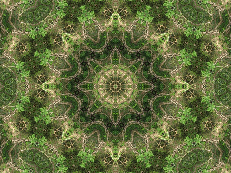 Natur Kaleidoskop